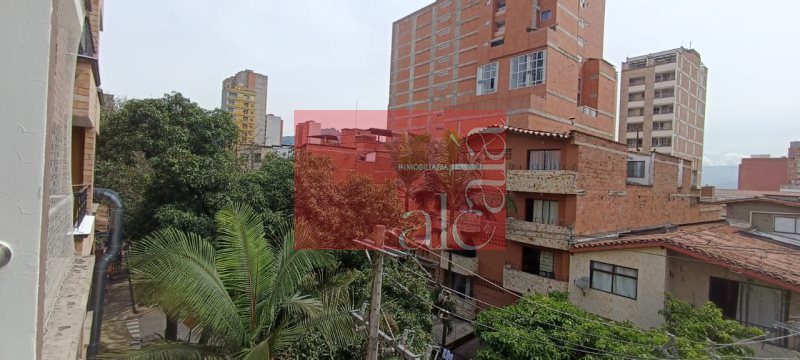 foto_104576_187_4297882756_ss.jpeg