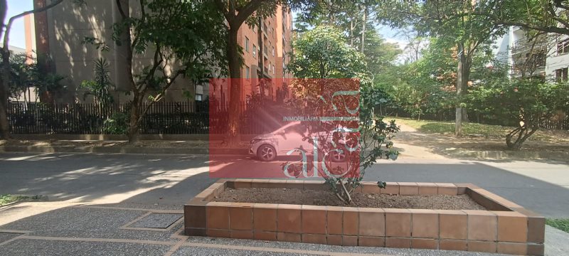 foto_105010_187_6127589118_ss.jpeg