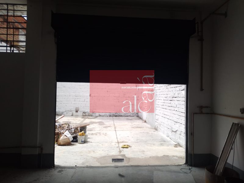 foto_105010_187_6460941413_ss.jpeg