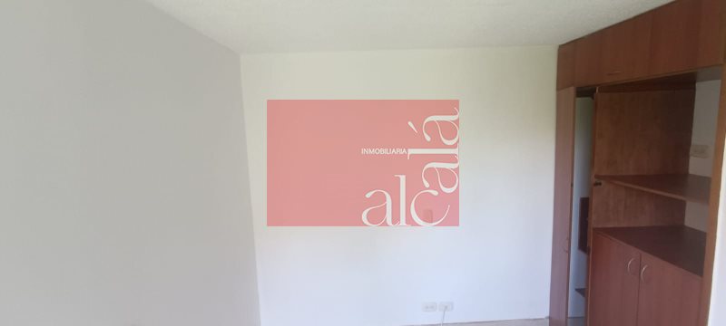 foto_105010_187_8328908576_ss.jpeg